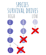 survival 11